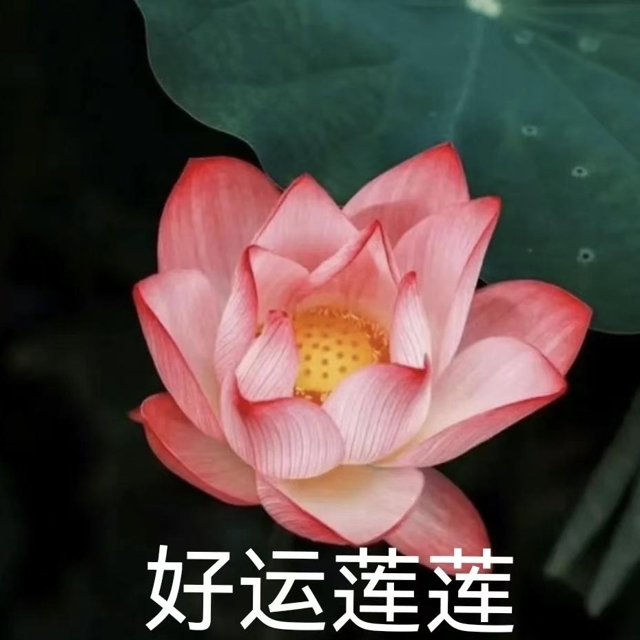 吉吉商行
