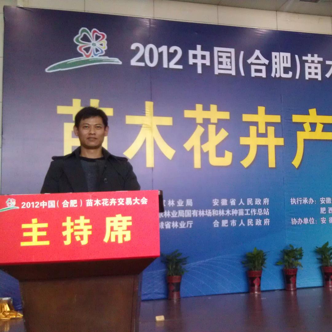 榔榆，合肥晟原生态农业科技有限公司