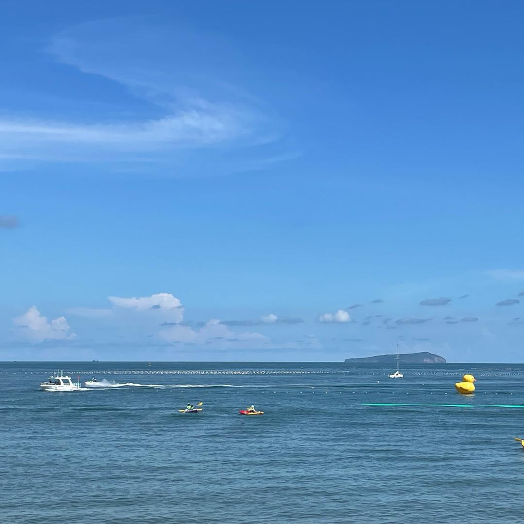 喜气杨杨☀️