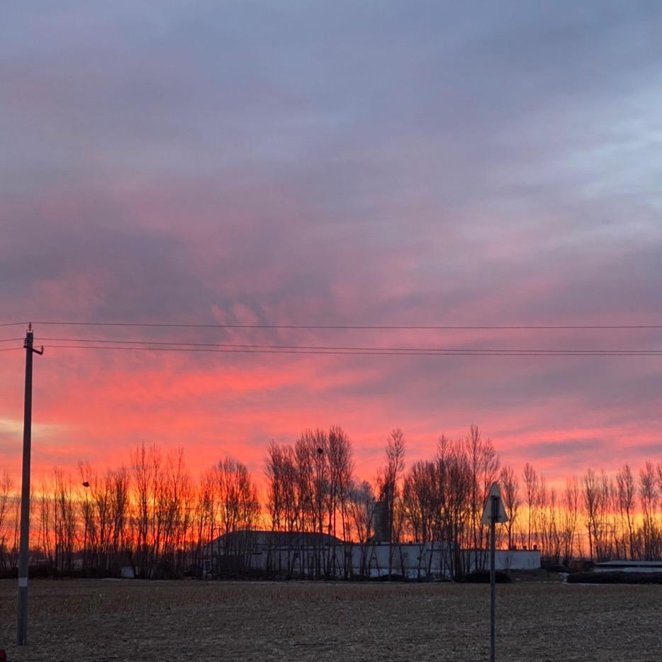 鄂尔多斯羽翼农业服务