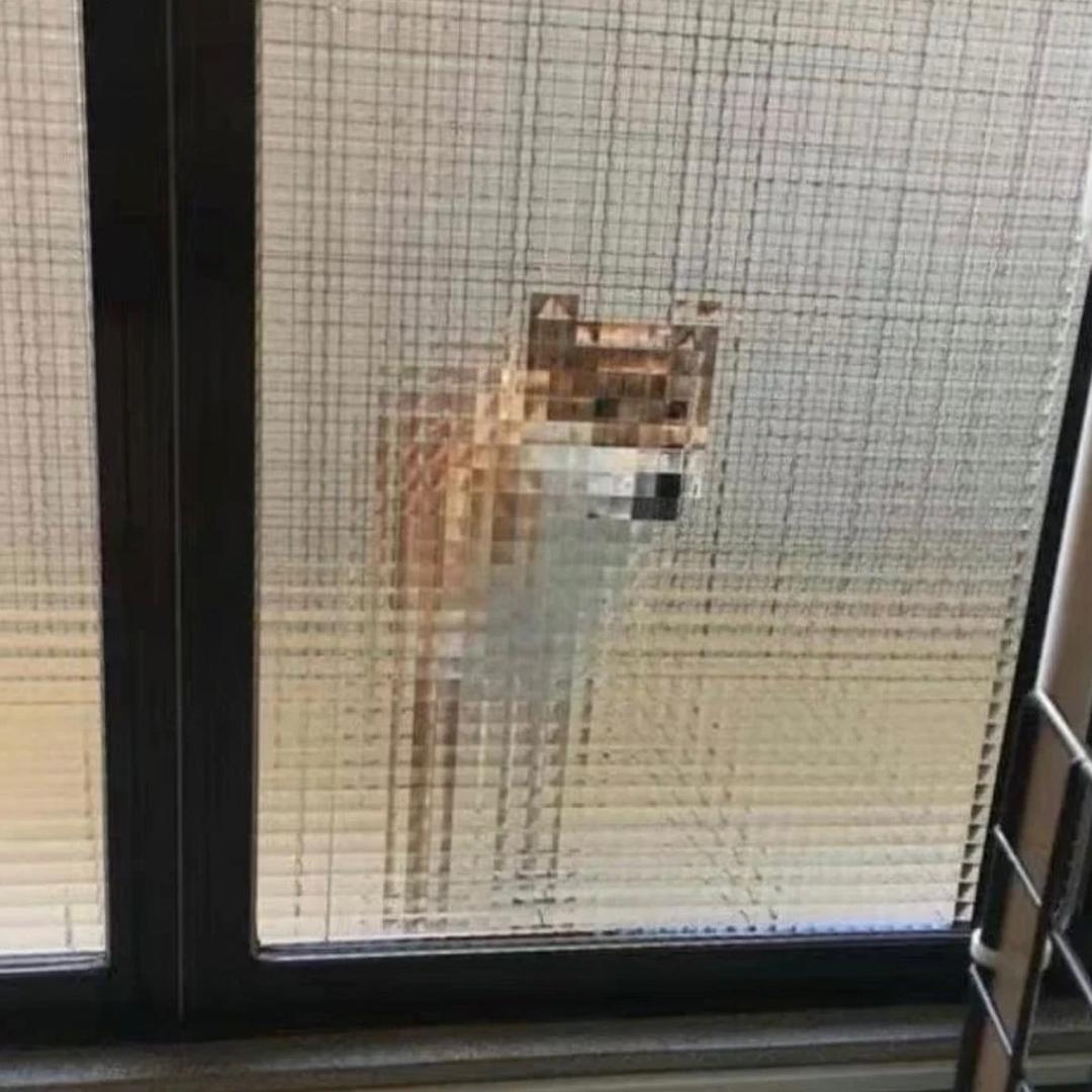 椰子芒果冰（要多多见面版