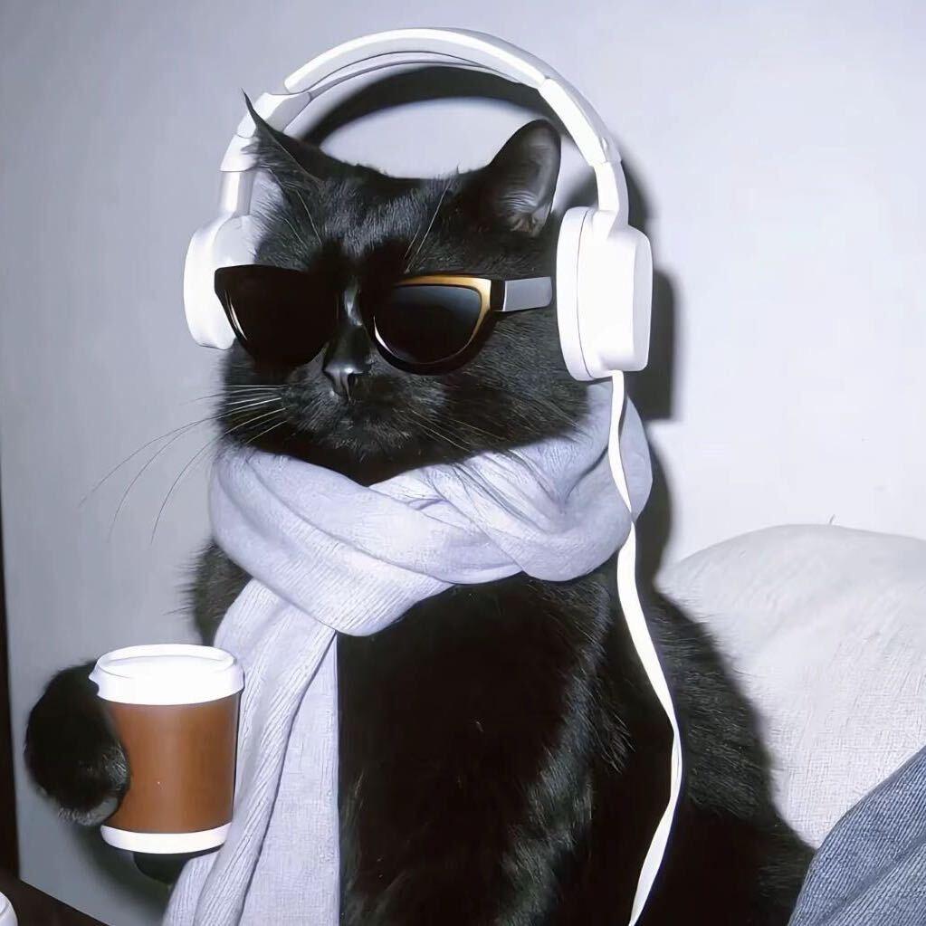 Mr.睡不着