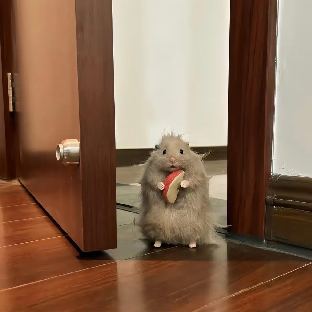 什么婷_