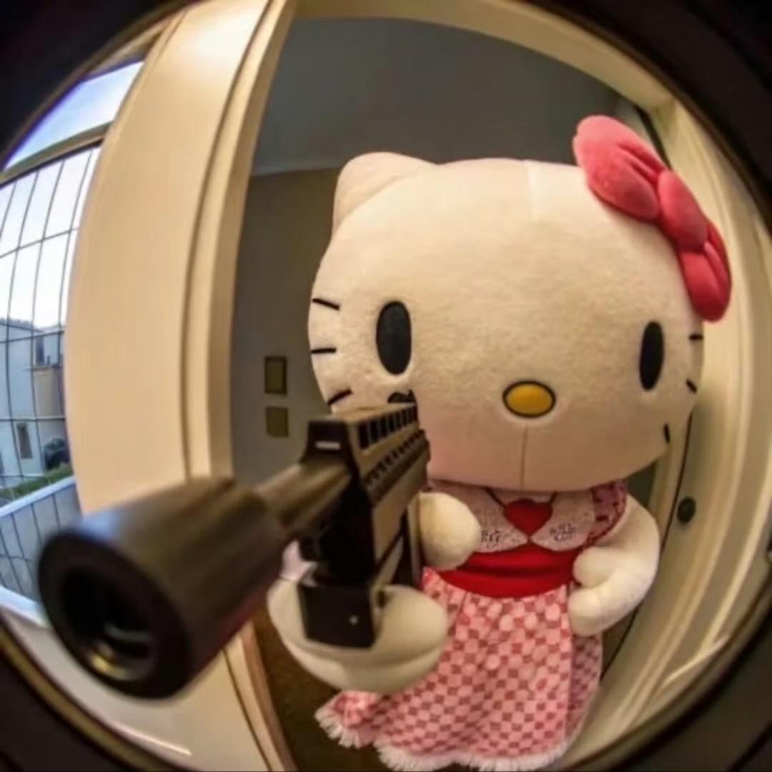 珏珏紫的凯蒂小铺🐾₊˚