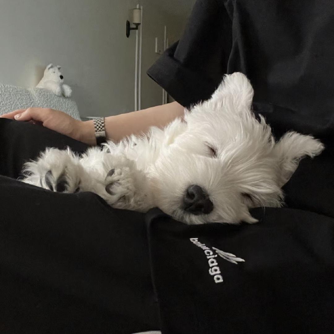 星期五-