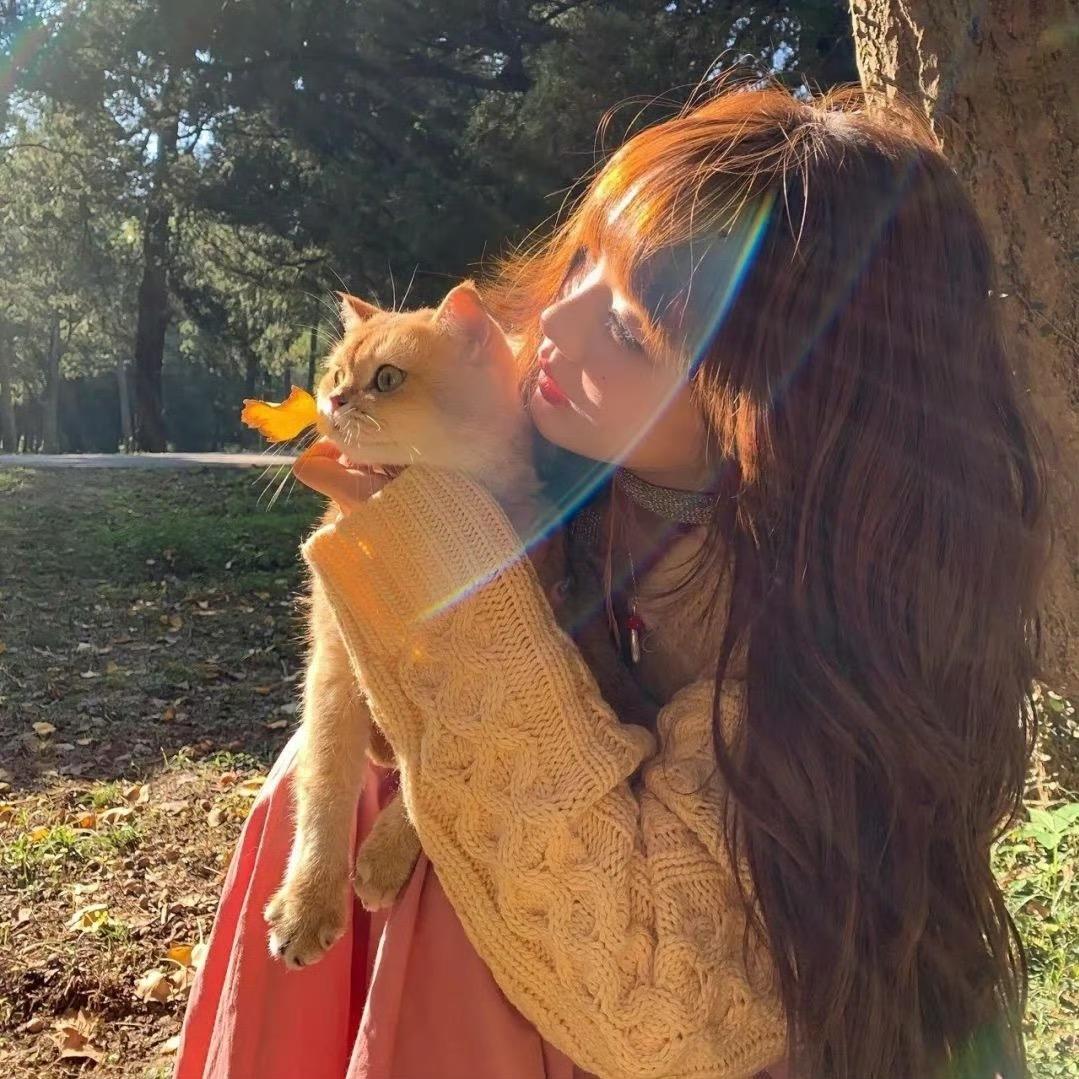 🌈赵财猫猫