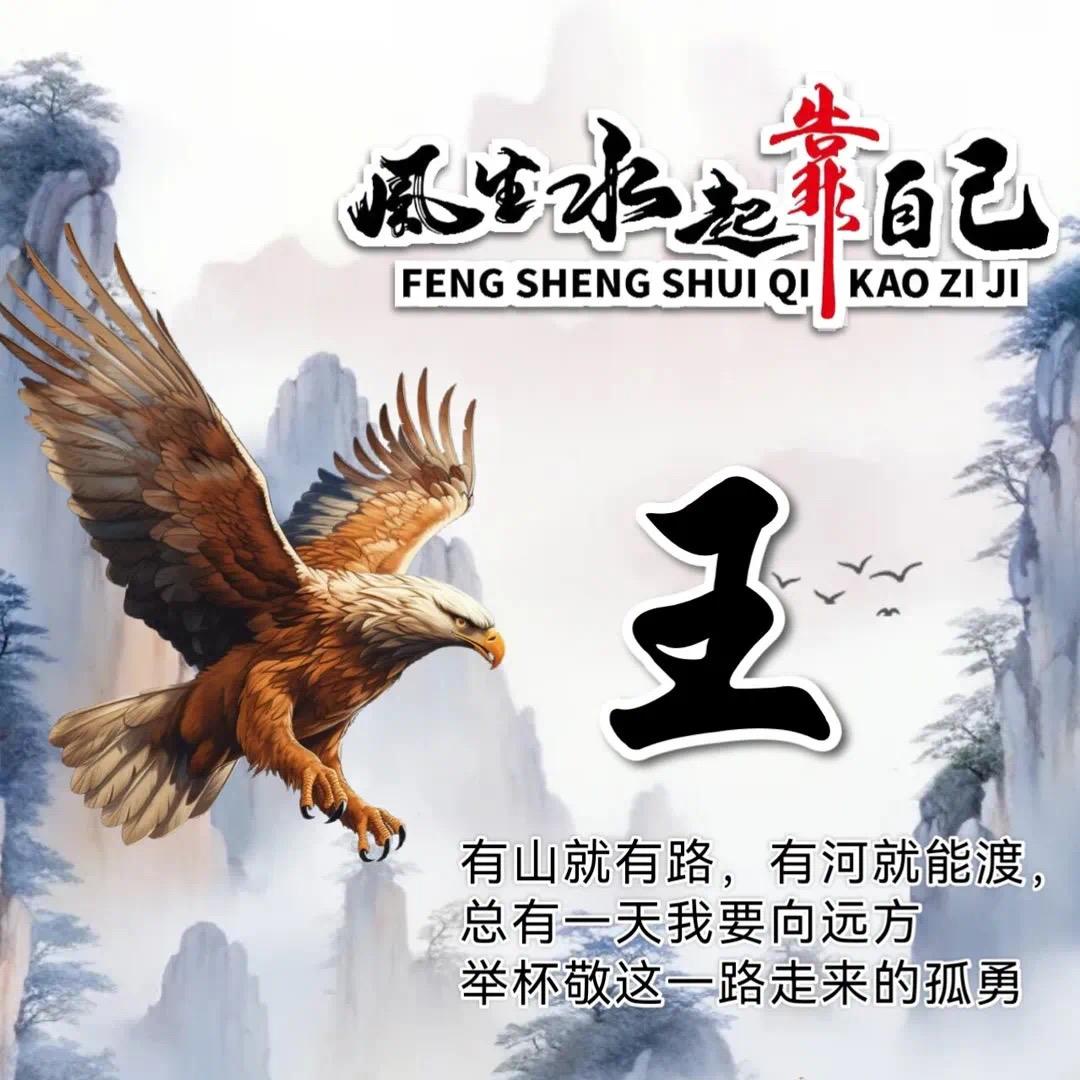 扬哥