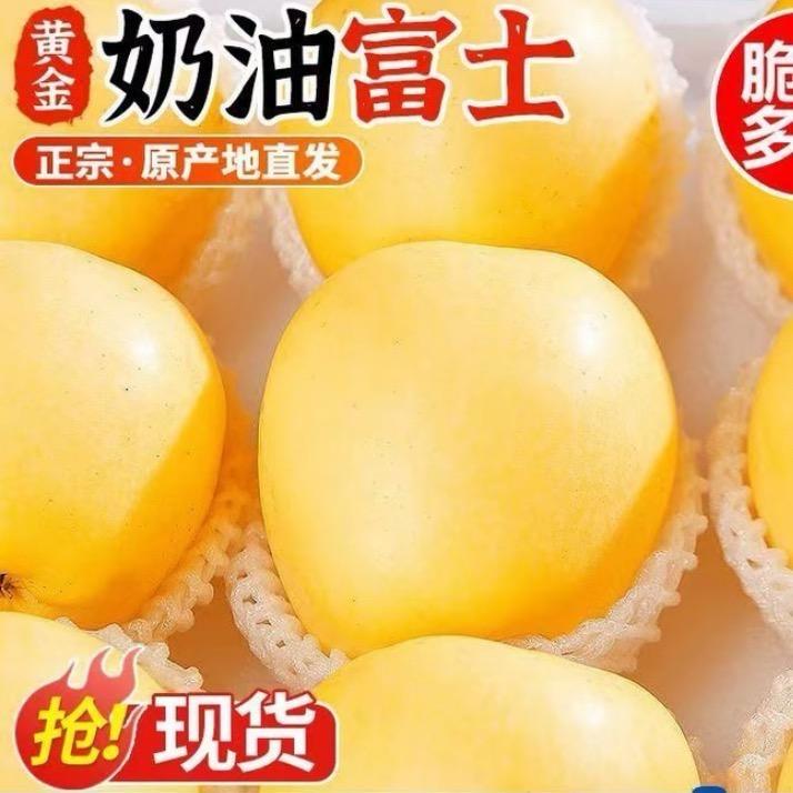 山东烟台奶油红富士果园