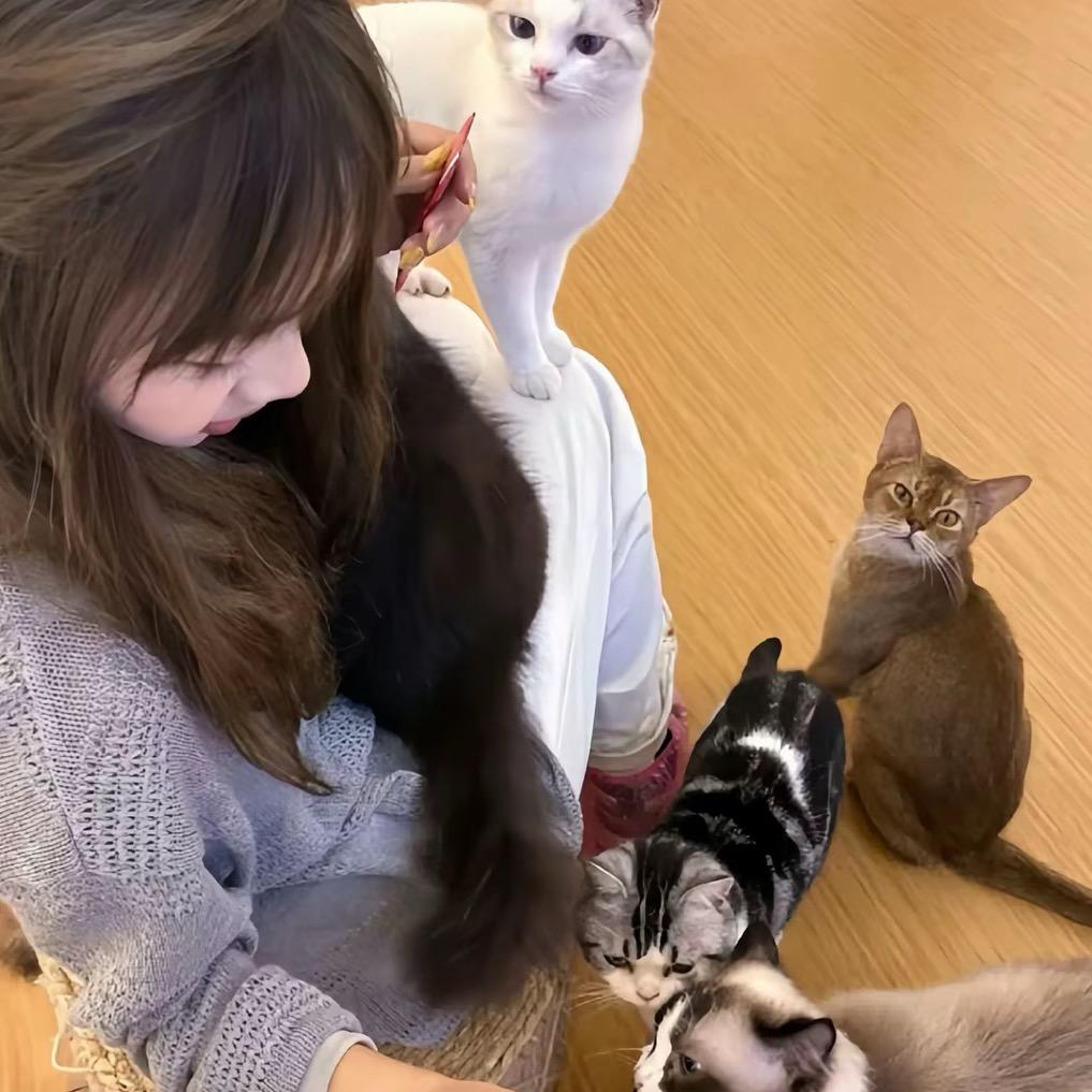 少点天真T^T