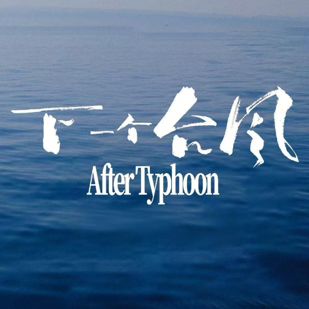 电影下一个台风
