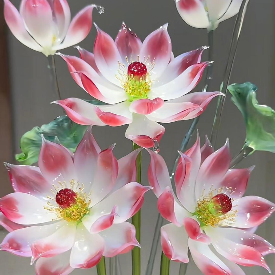 一个苹果