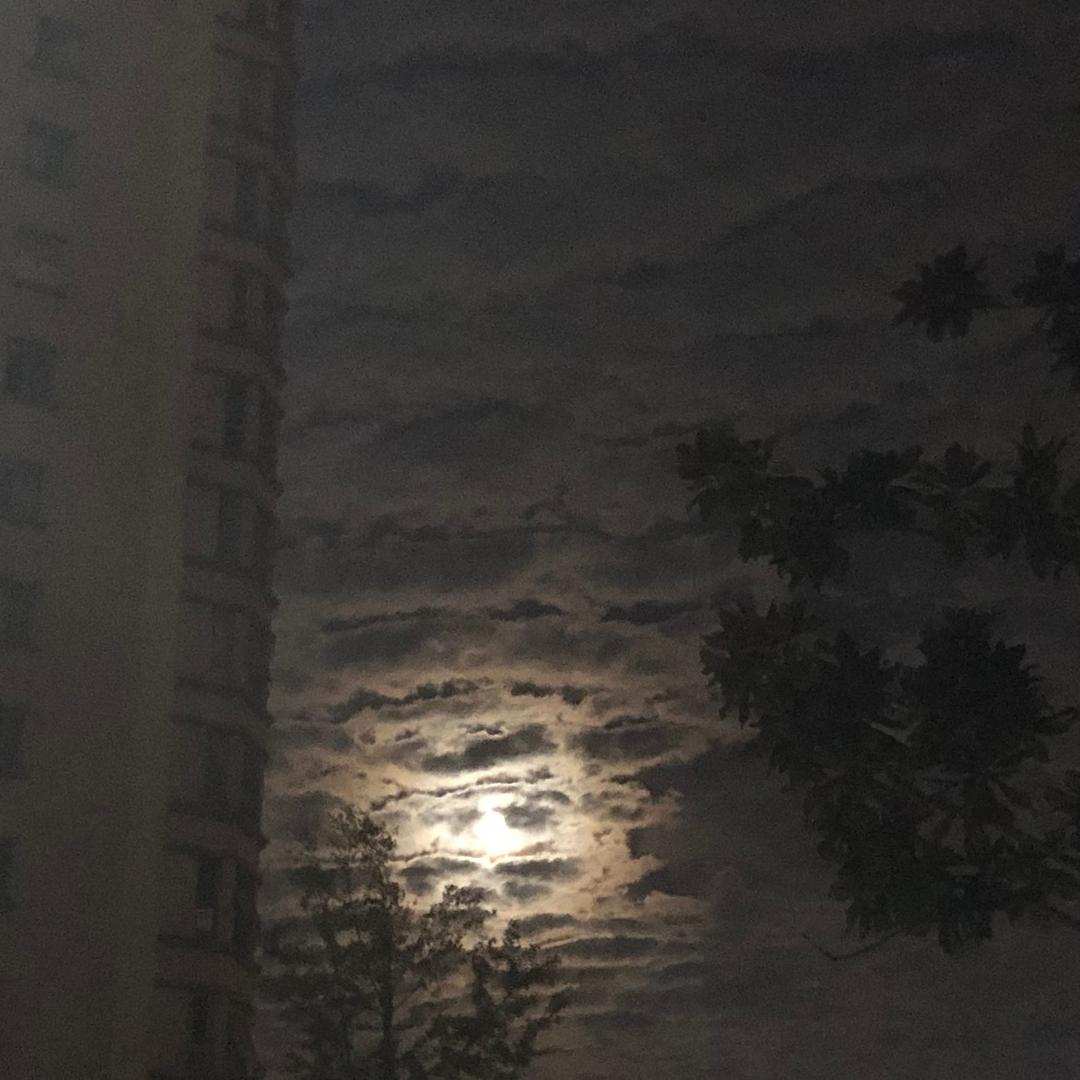 风骑士