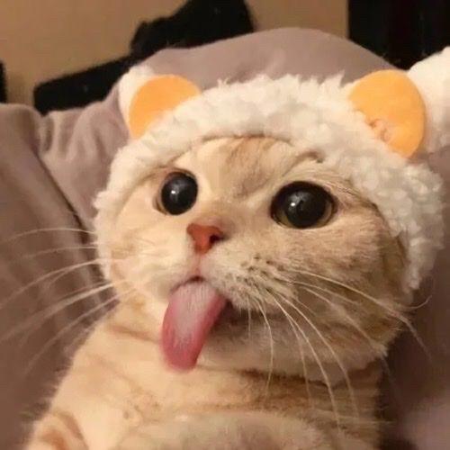 可乐不渴