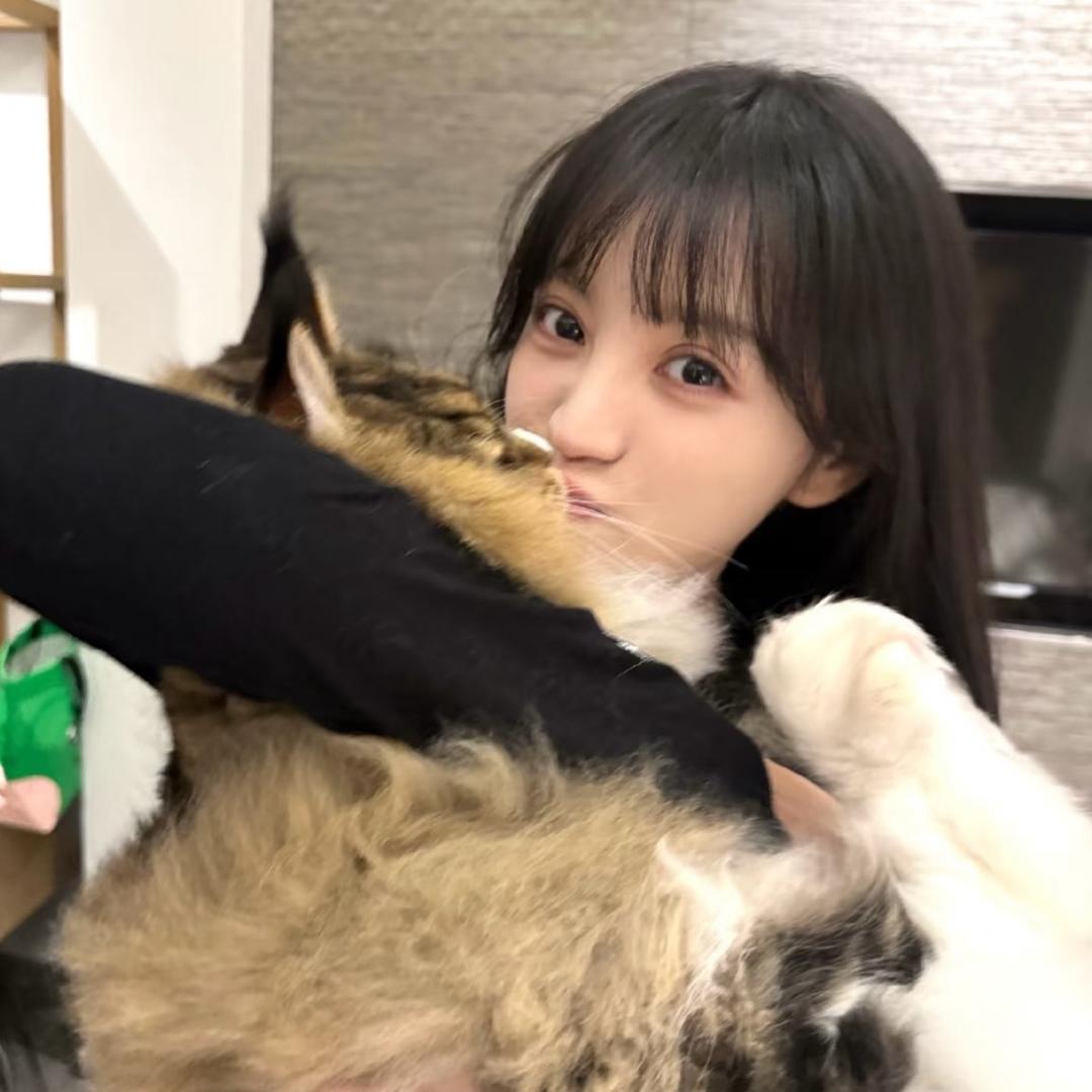 喵喵