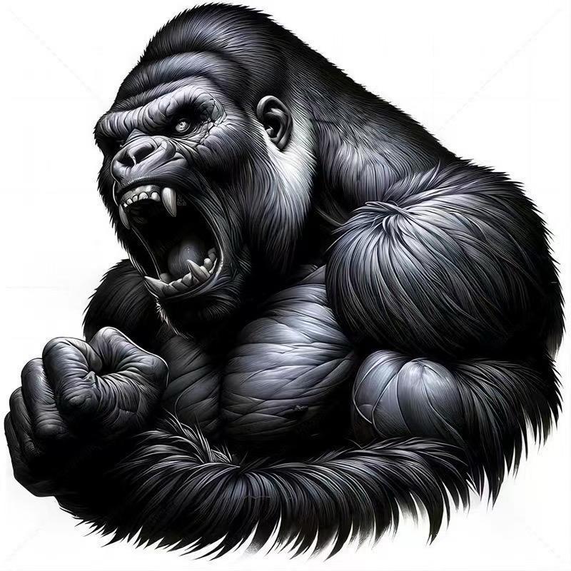 金刚健身训练日常