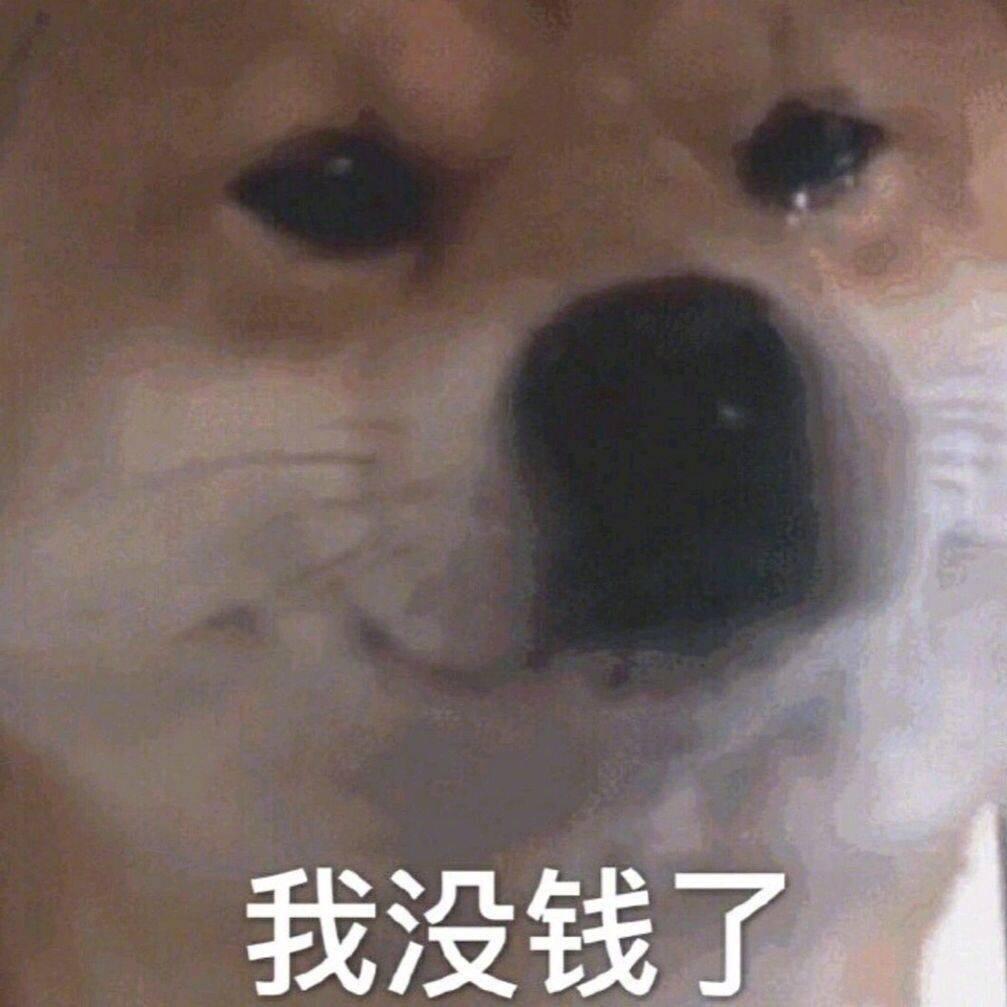 白猪猪