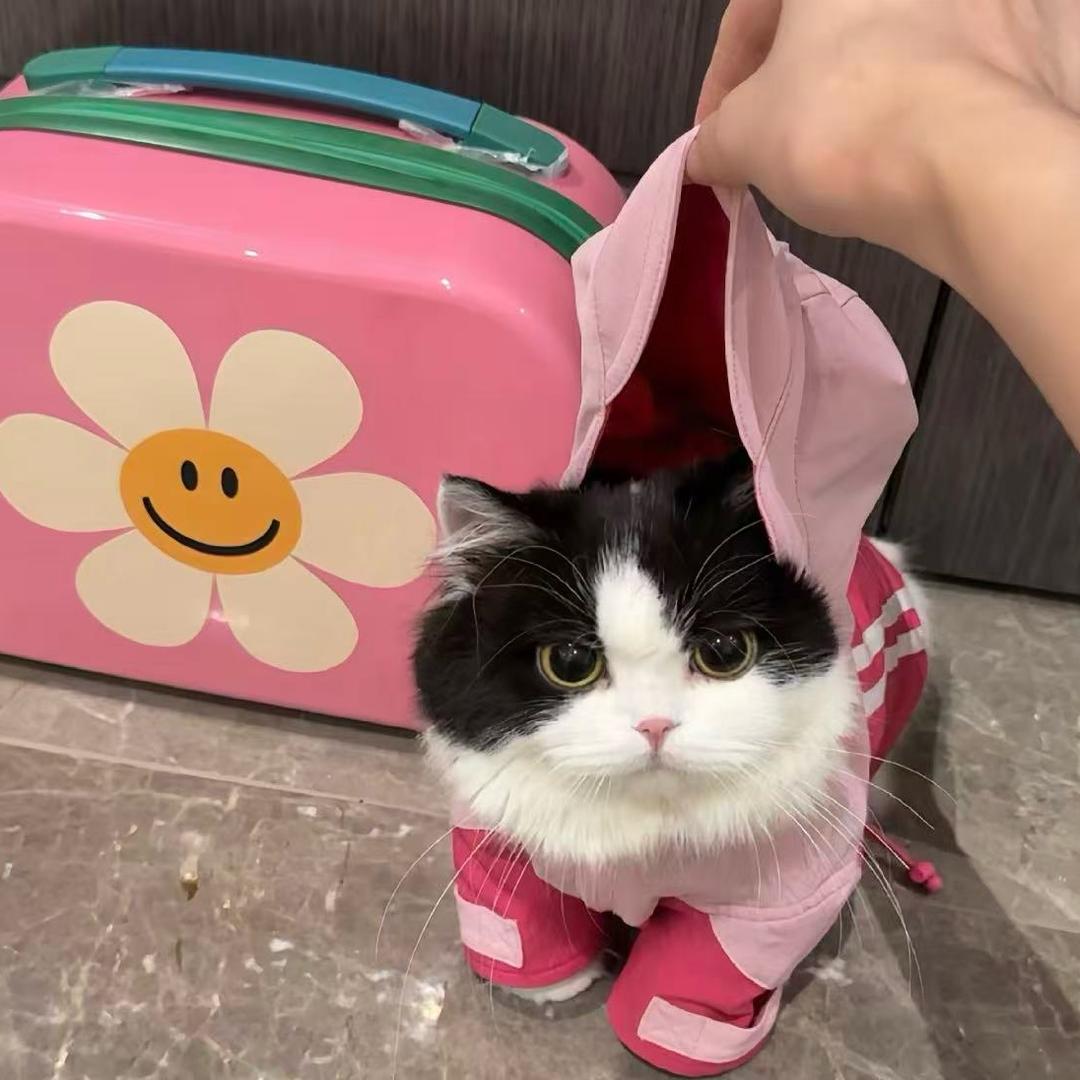 莲莲超爱笑.