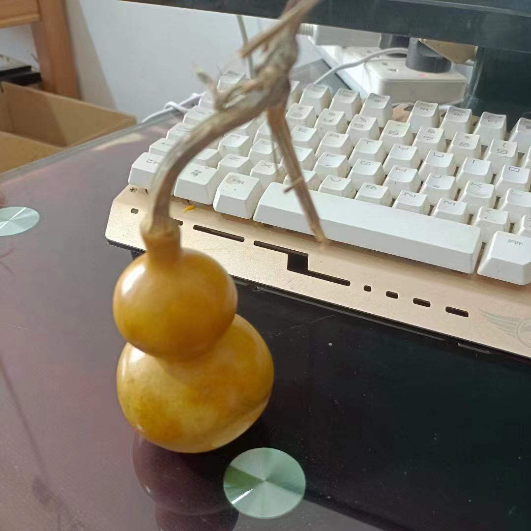 大森林葫芦