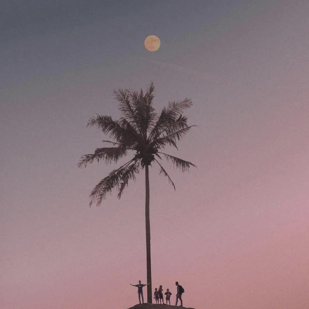 郑老师谈交通事故理赔．．．．