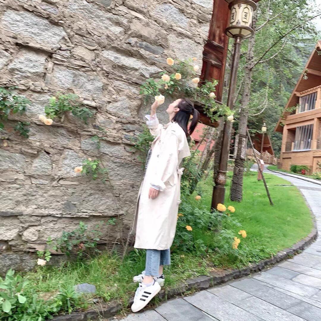 小黄很忙💛