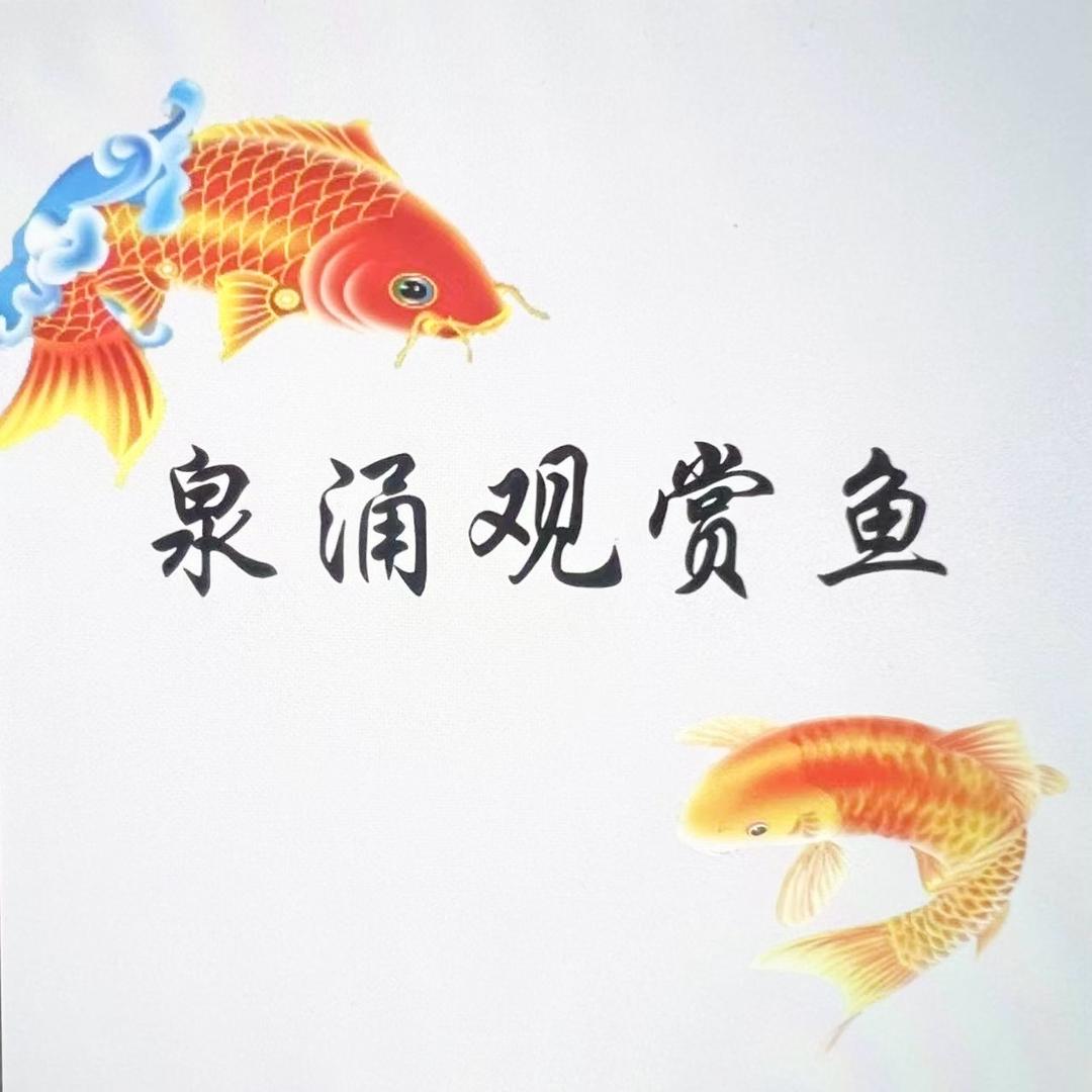 泉涌观赏鱼
