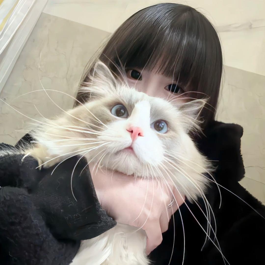 榆阳