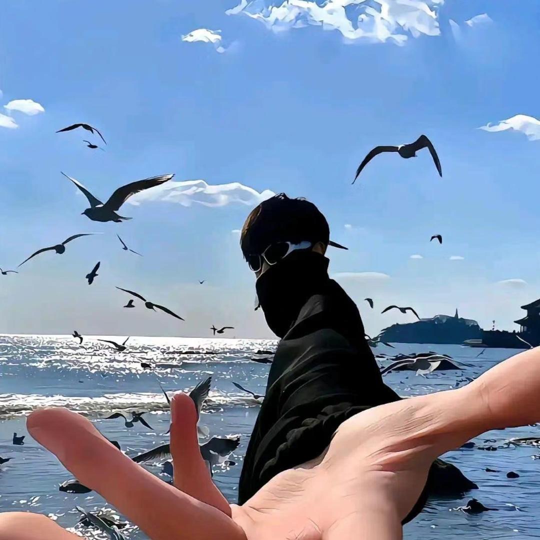 卷哥带你飞