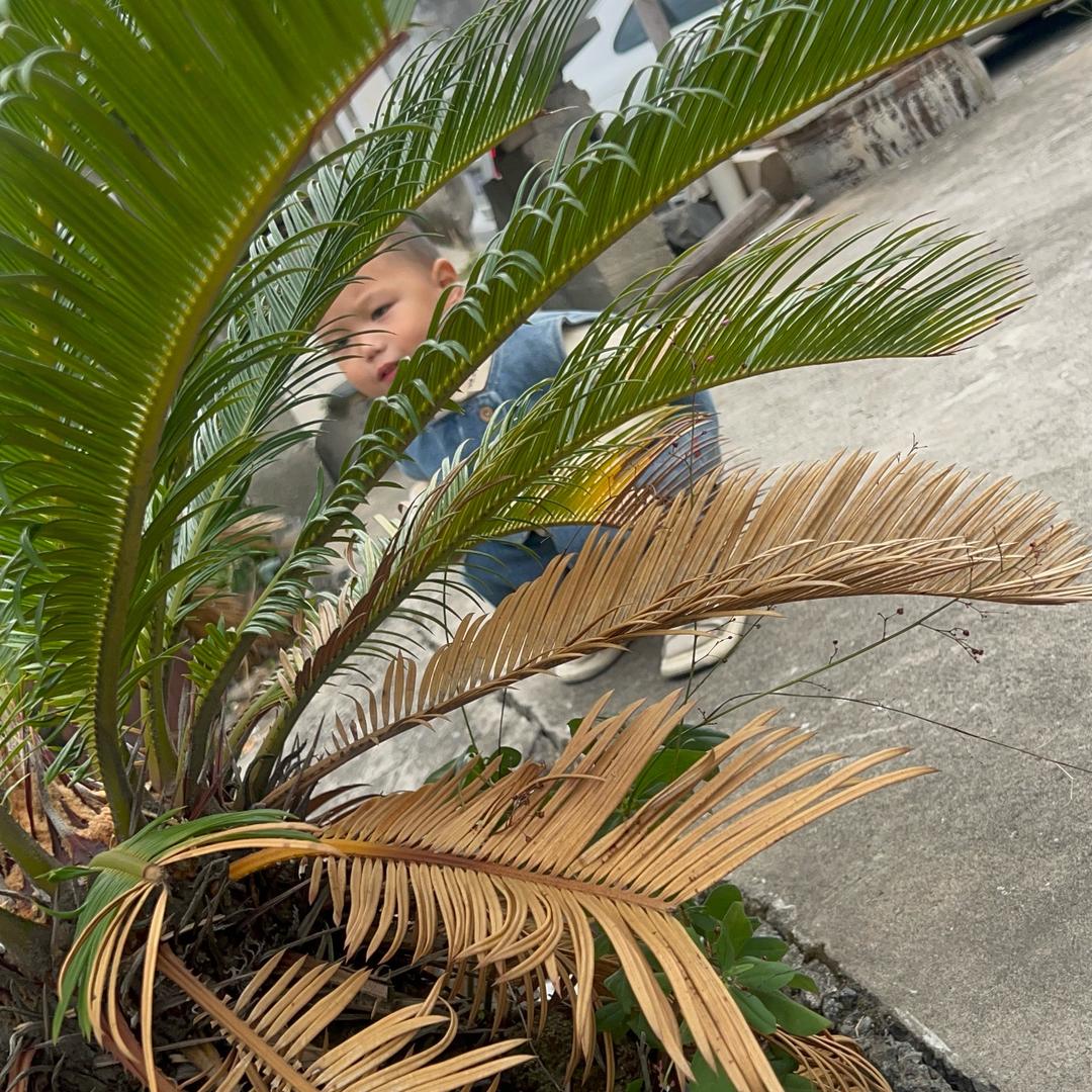 半້໌ᮩღ颗ꪝ᭄꯭ 糖༊