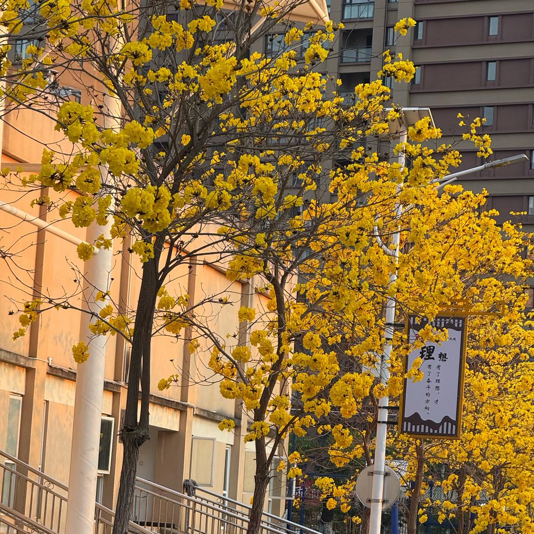 放下不属于我的人和事