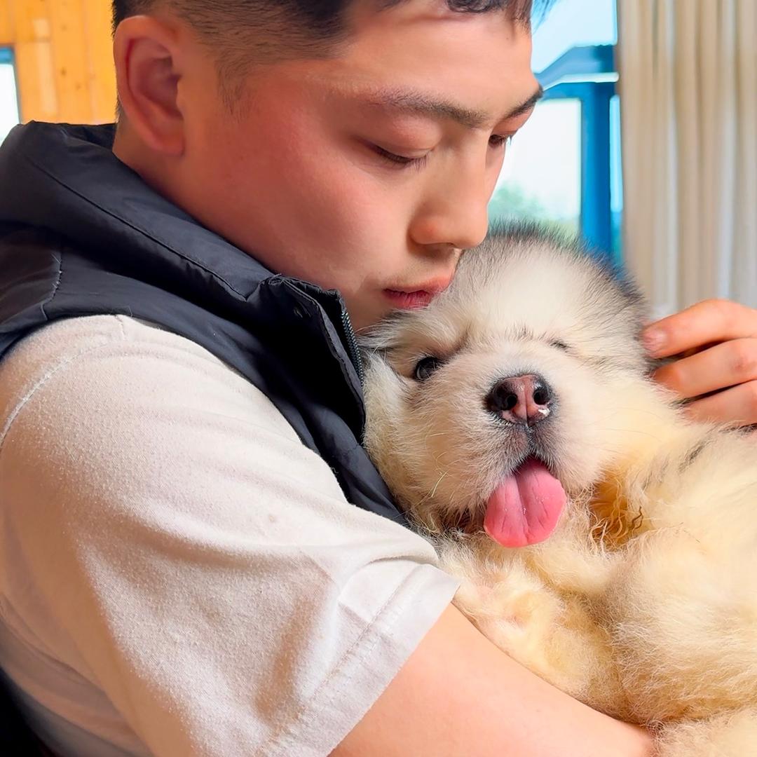 兴星犬舍