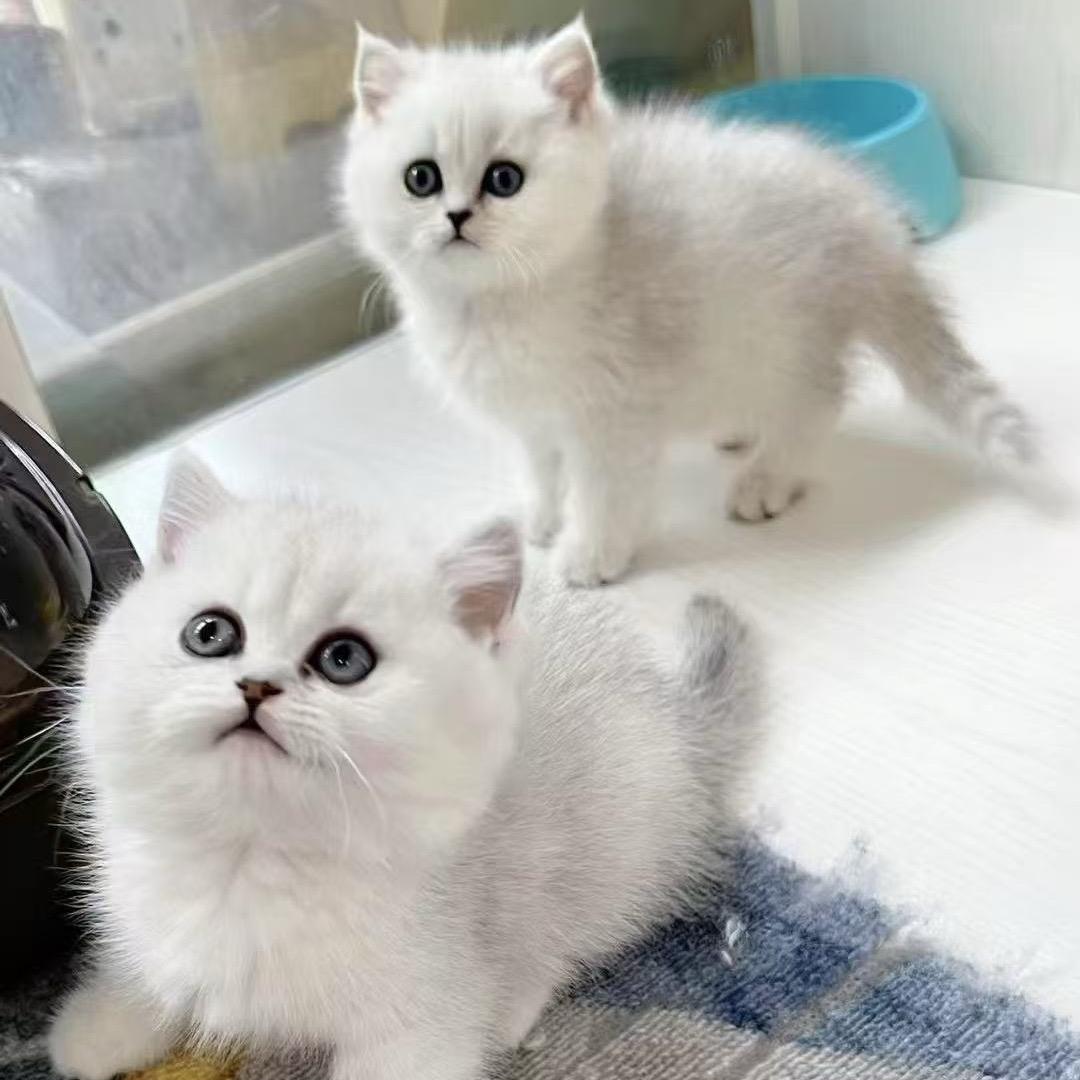 飘小伙（承蒙厚爱）