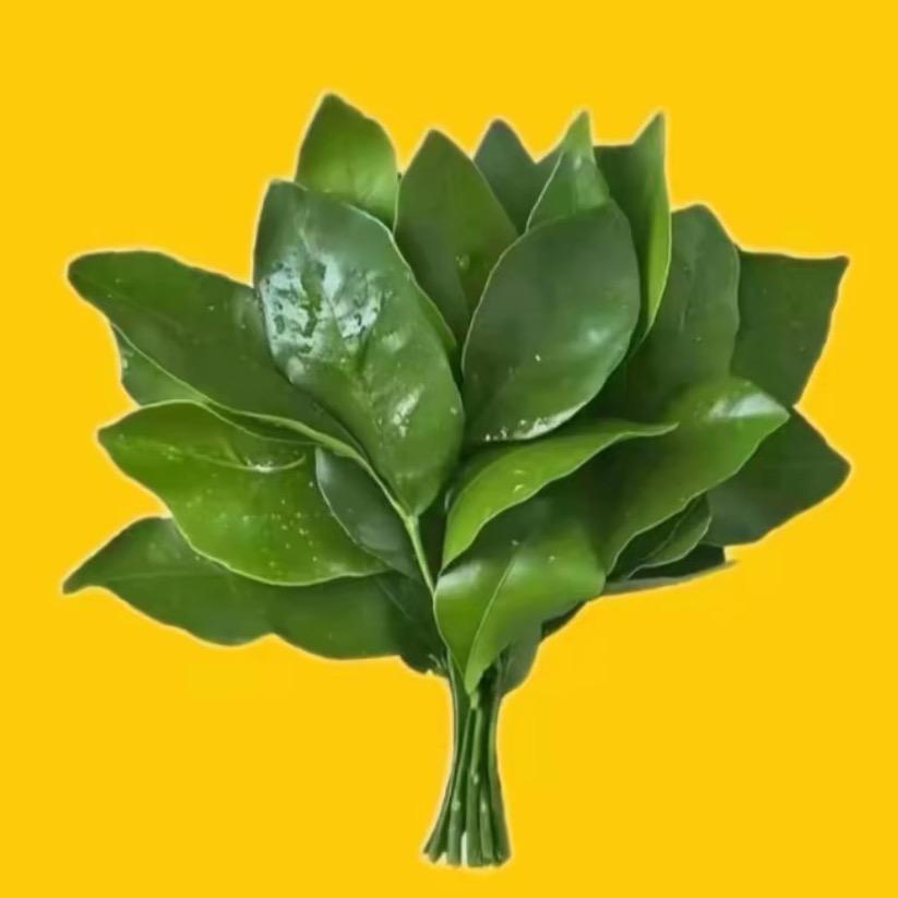 桔梗