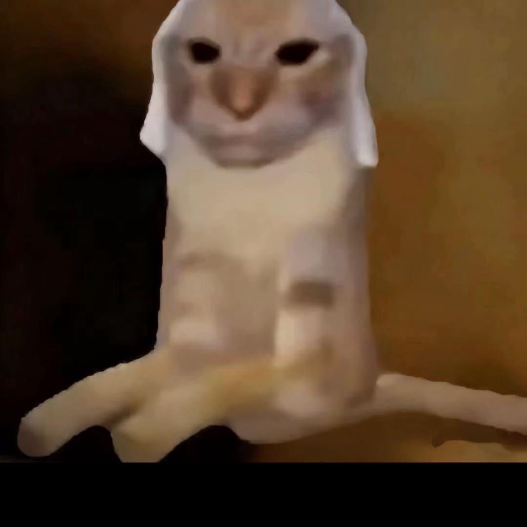 含着雨伞的赛亚人