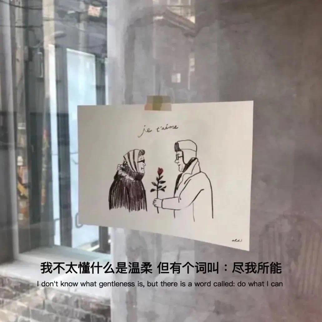 醉不乖