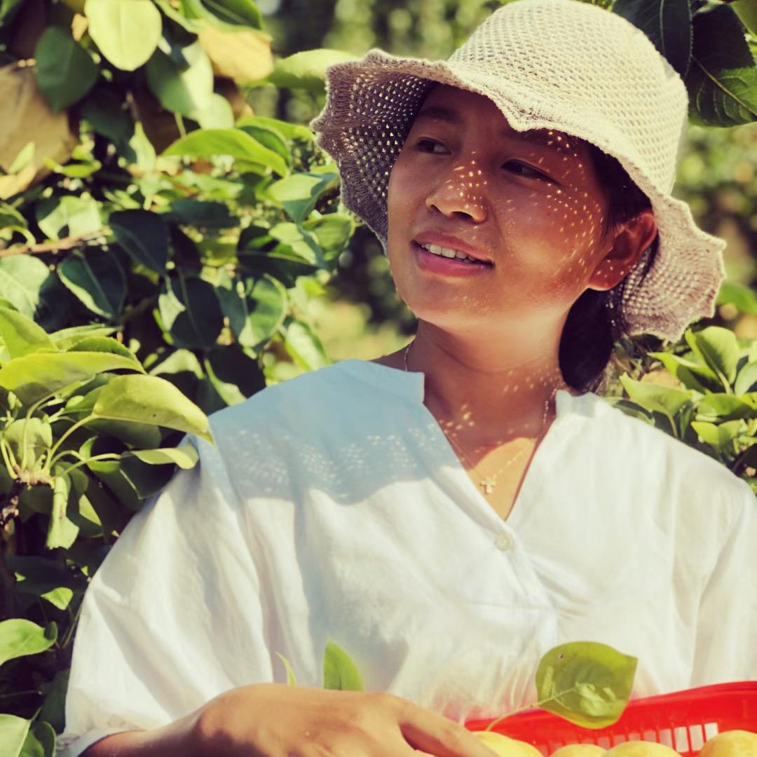 金平鼎艾赏果树苗木专卖店