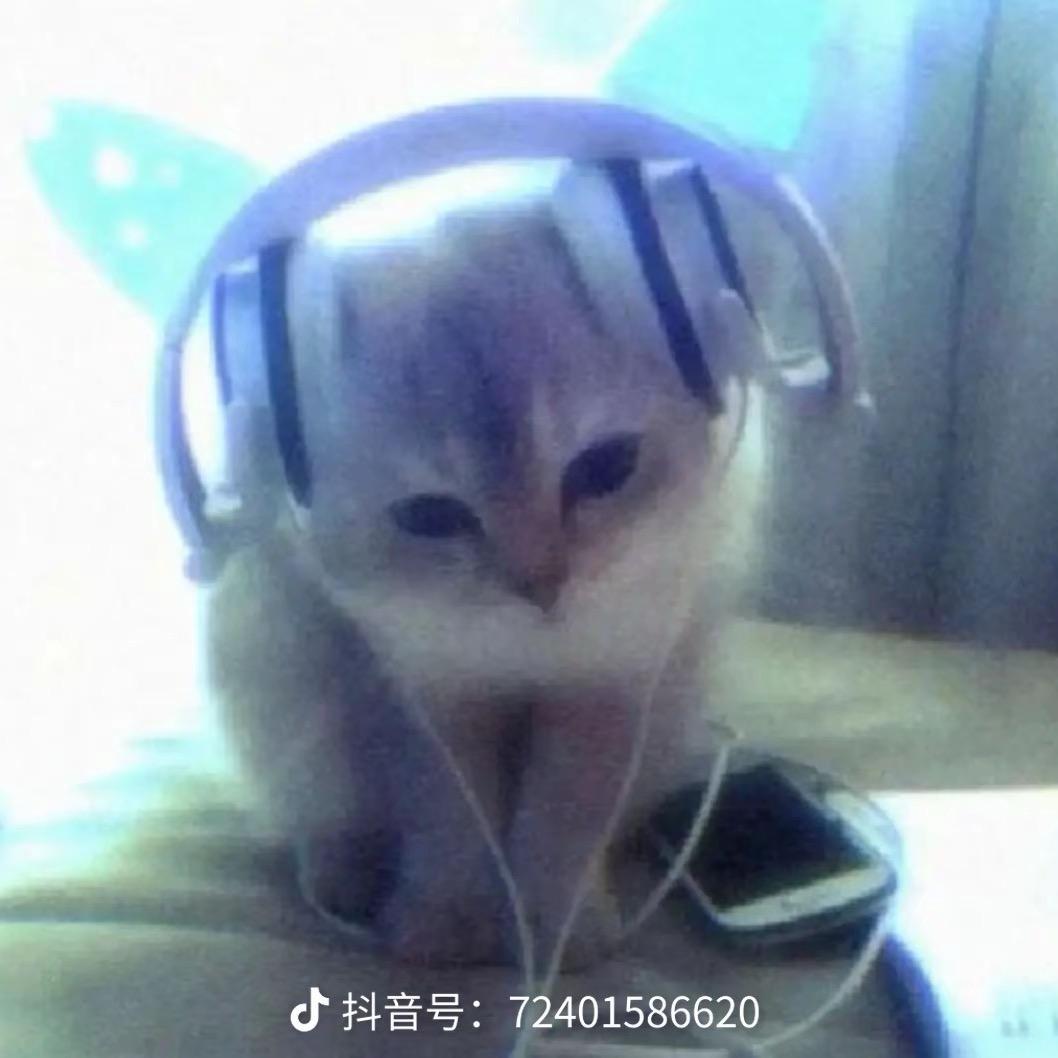 鱼