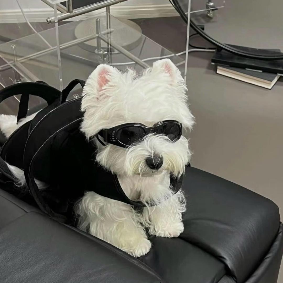 我不是皱🦦