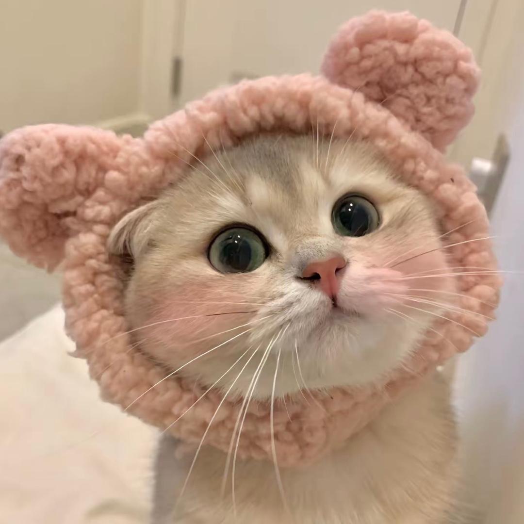 🧸ིྀ