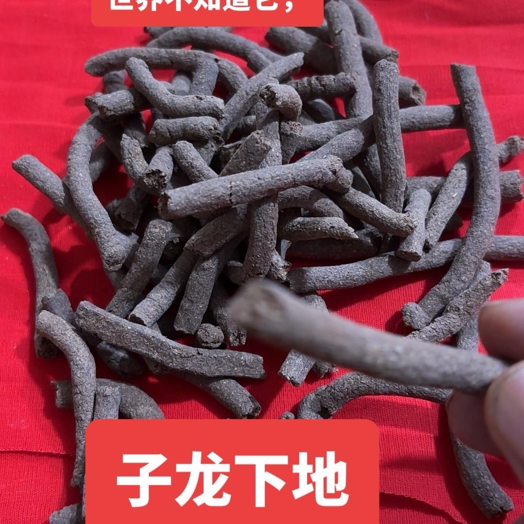 子龙下地