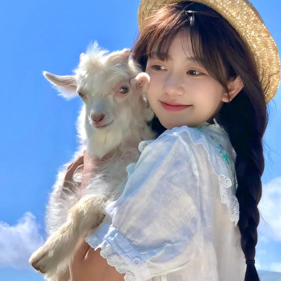 半勺奶酪🧀️🌿