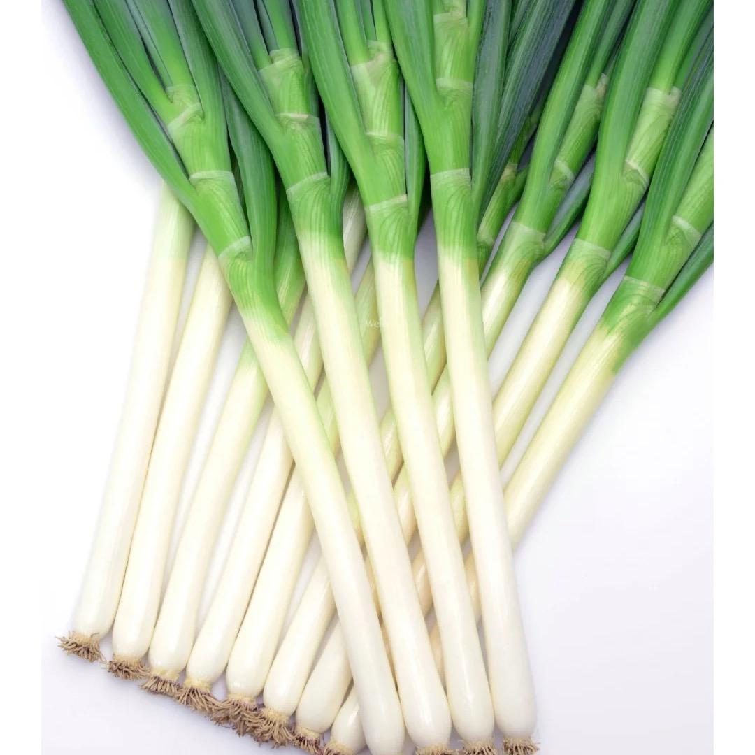精品大葱（专业团队）