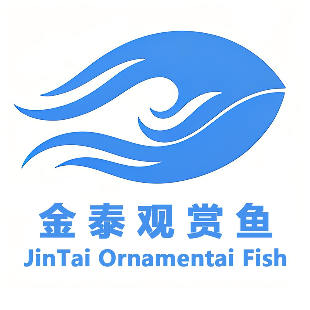 金泰观赏鱼