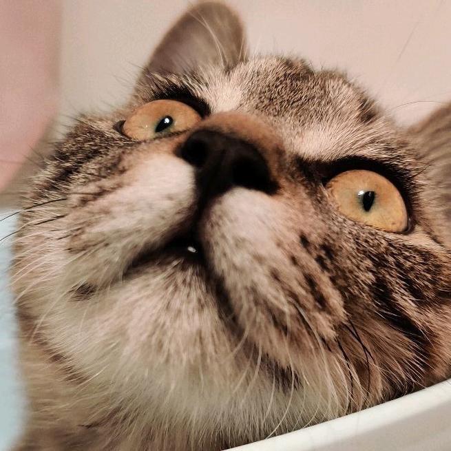 🌈重生90之我权势滔天：这次一定夺回姜