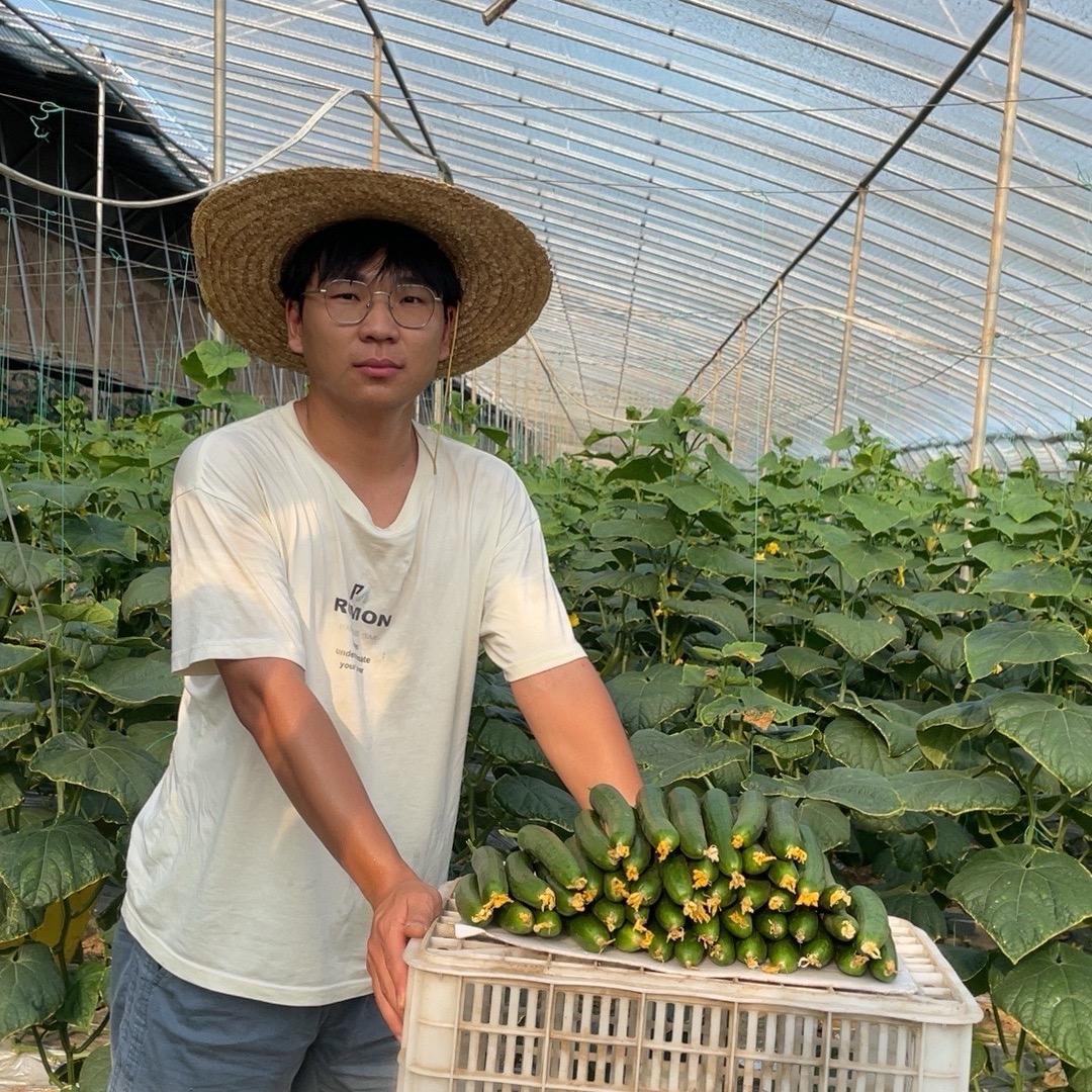 小伙的水果黄瓜