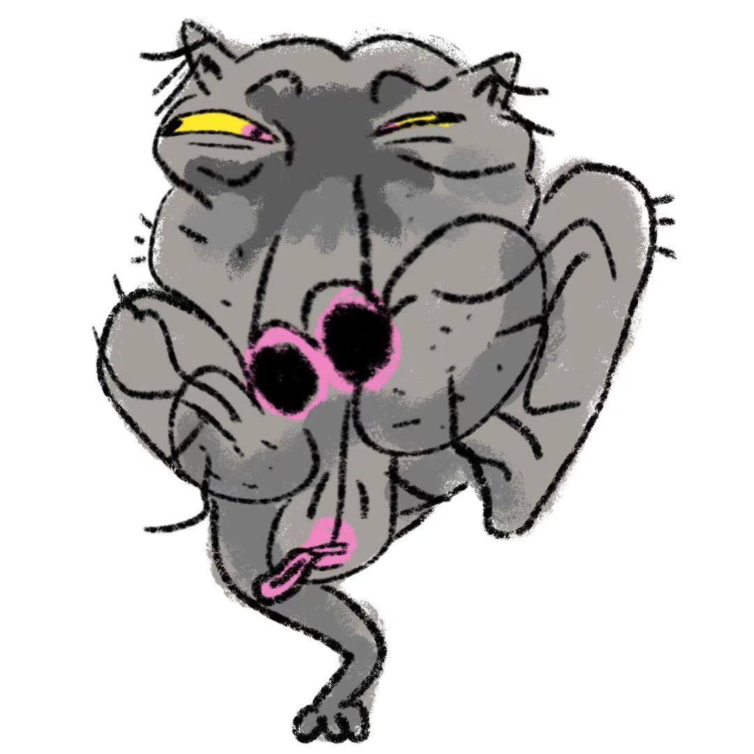 槲寄生