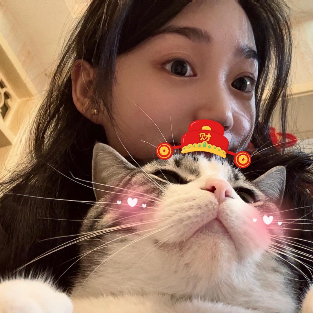 抹抹迪