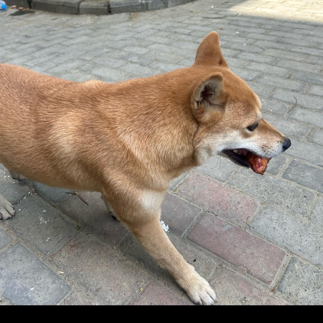 人间烟火