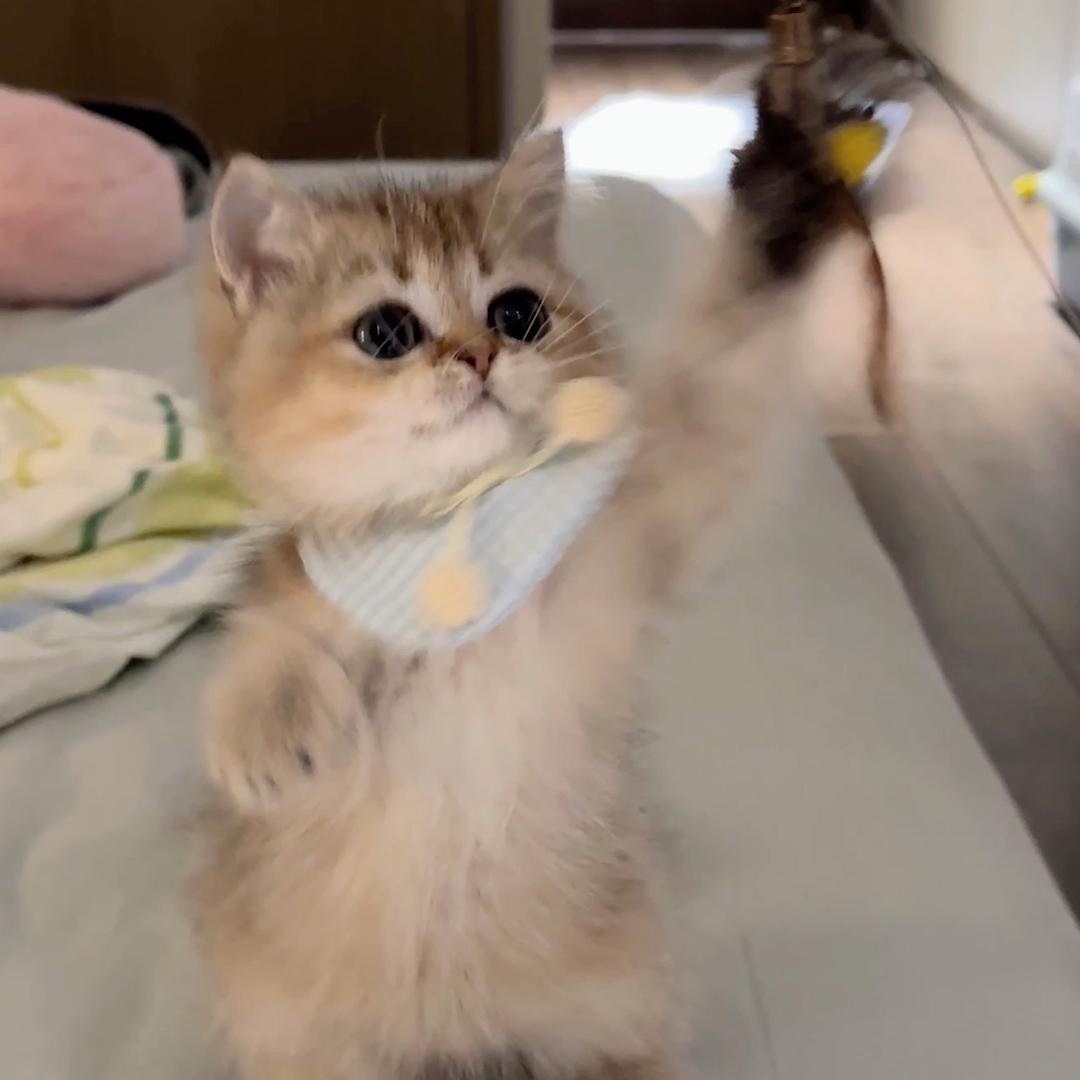 现在睡