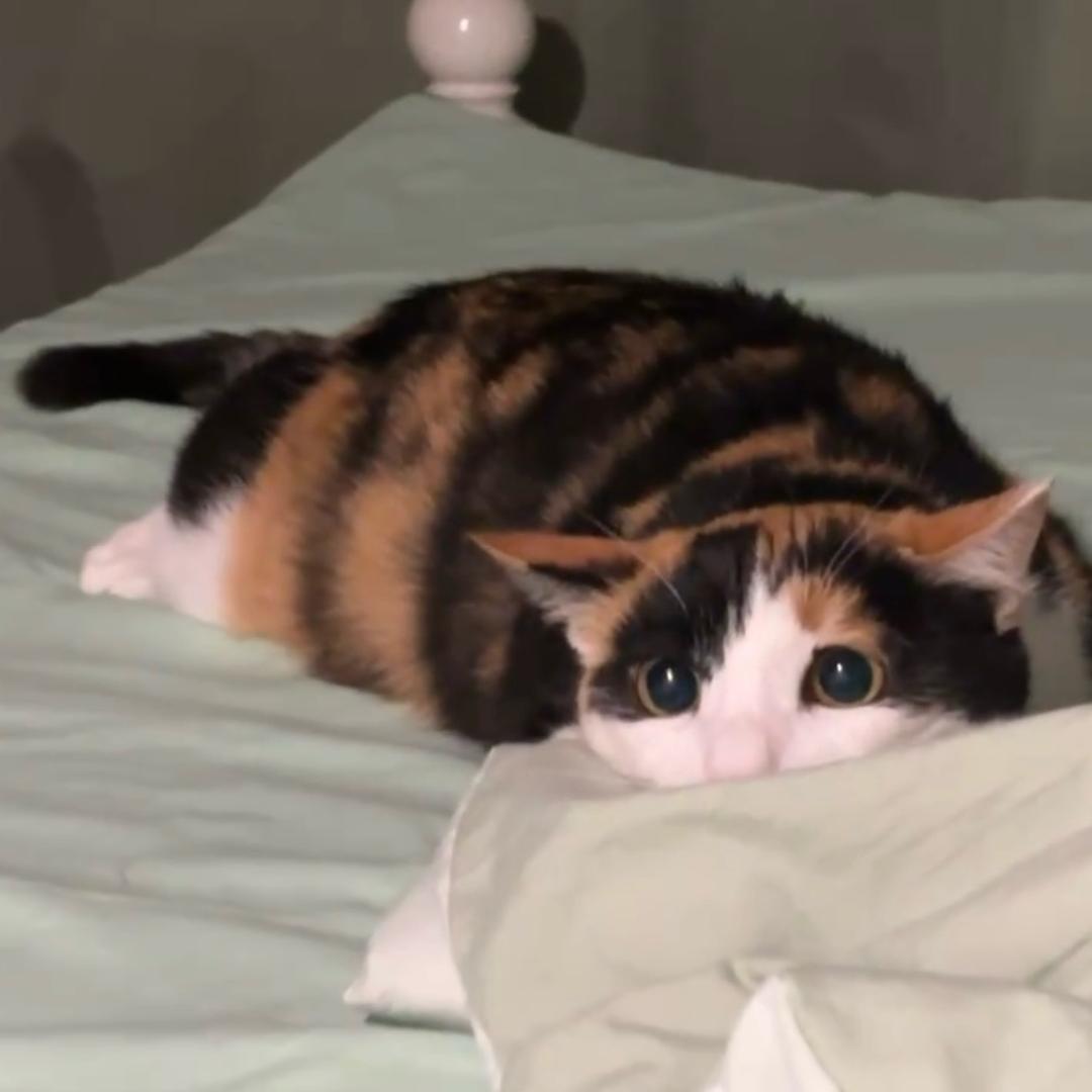 is