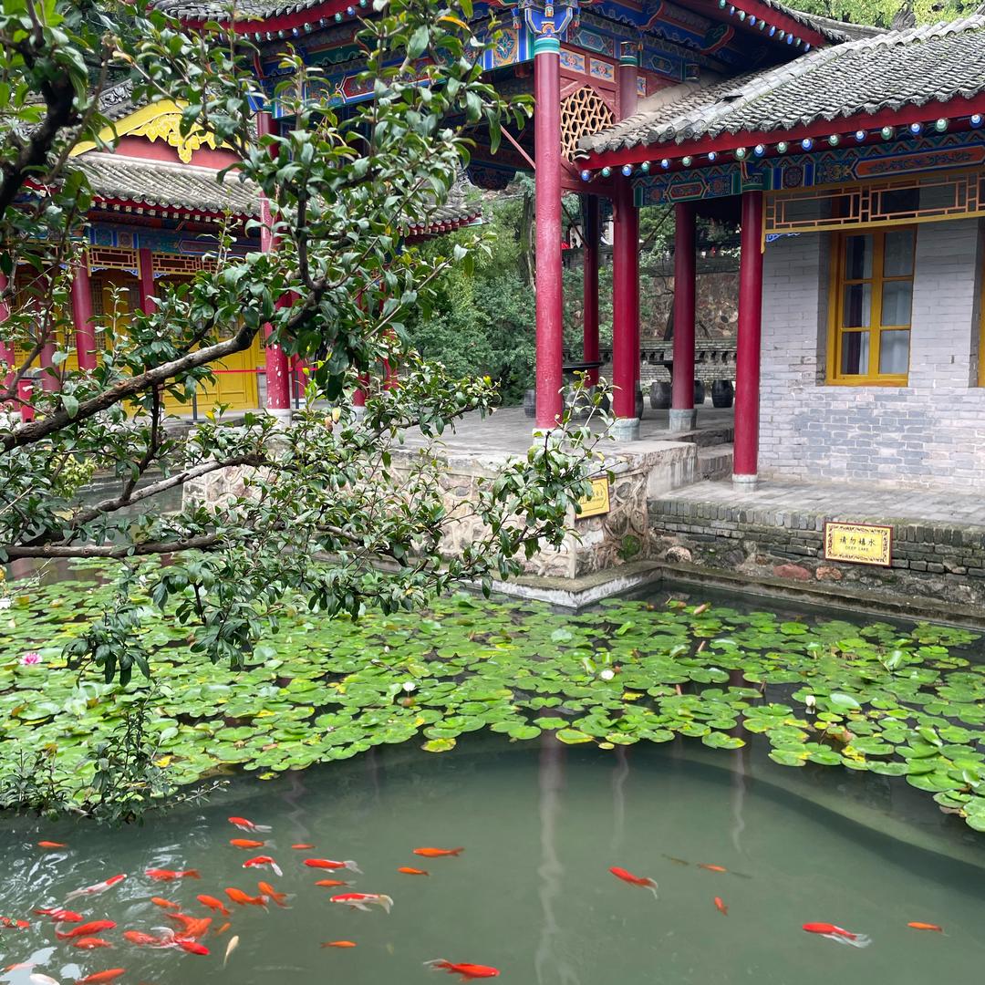 乱了心跳的节奏